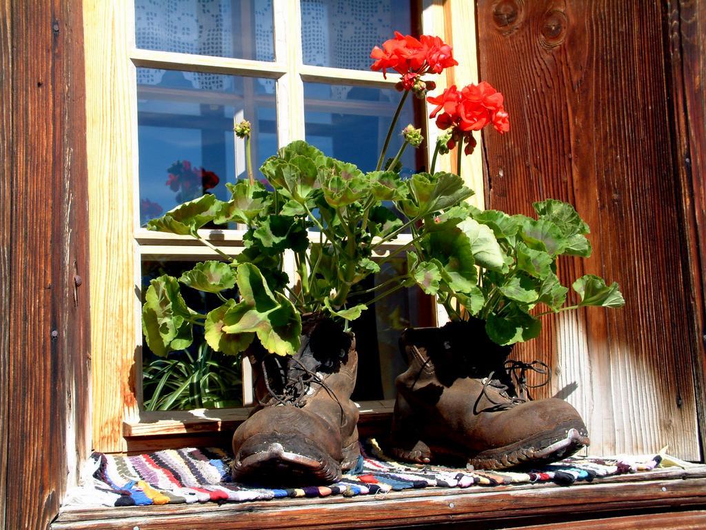 Appartement Haus Tasser